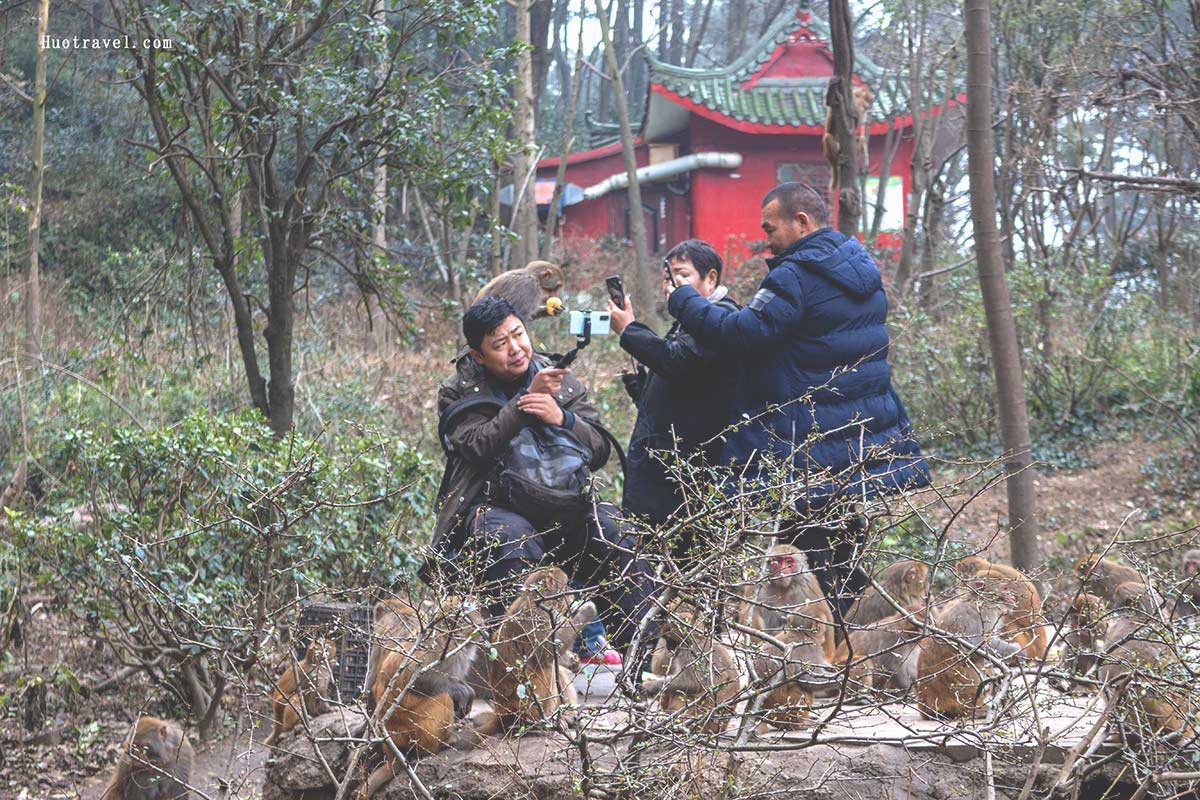 黔灵山公园5